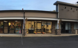 chiropractor warminster pa