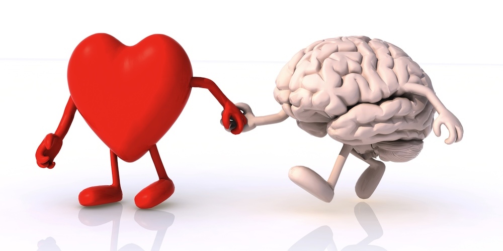 How Your Heart and Your Brain Work Together | Radiant Life Chiropractic