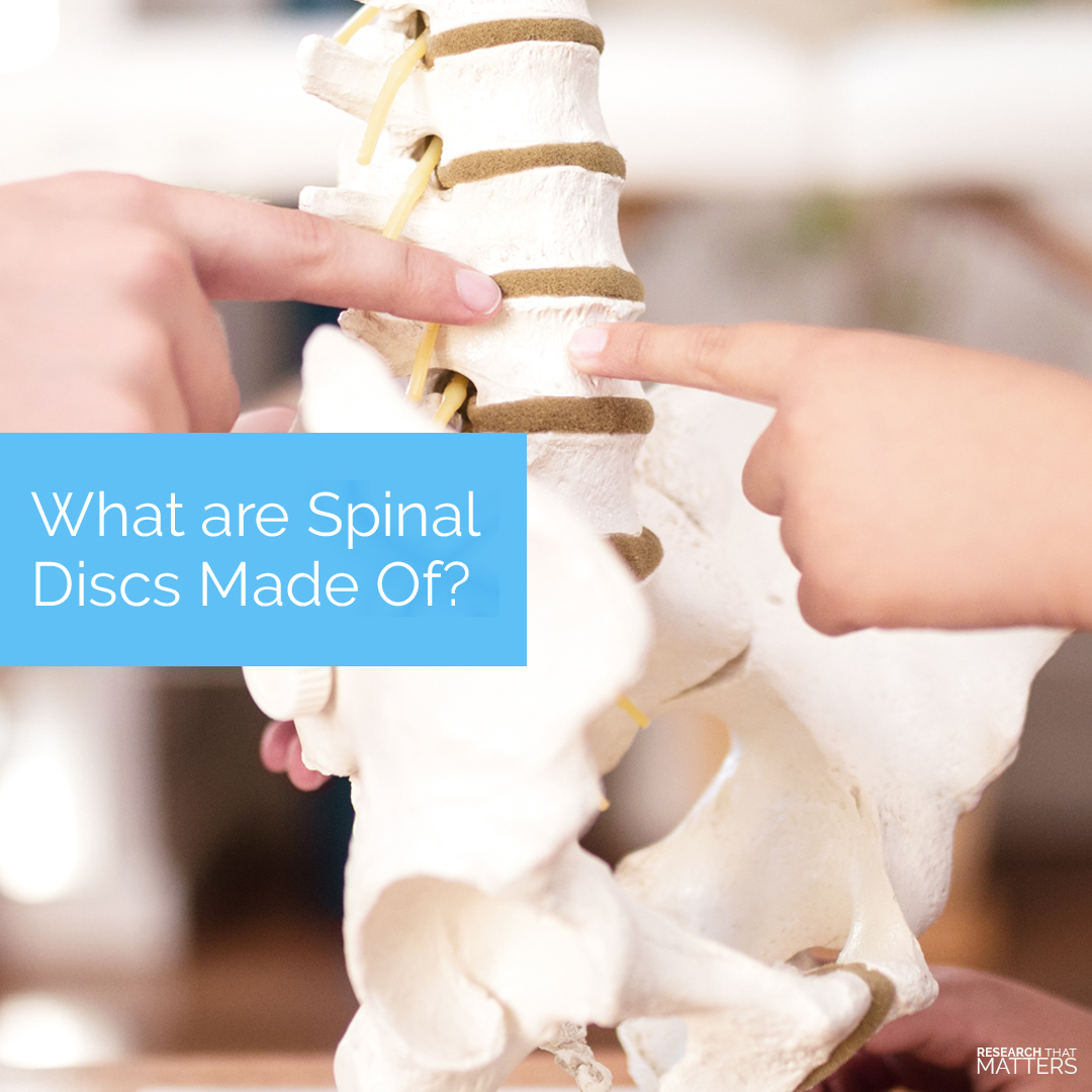 spinal information