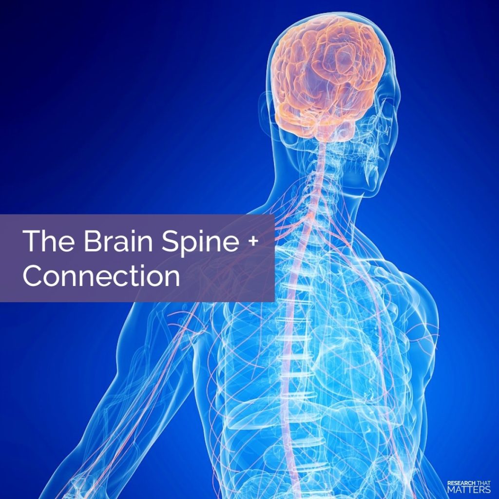 Spinal brain. Spine Brain. Your Spine. How the Spine is connected with the Internal Organs.