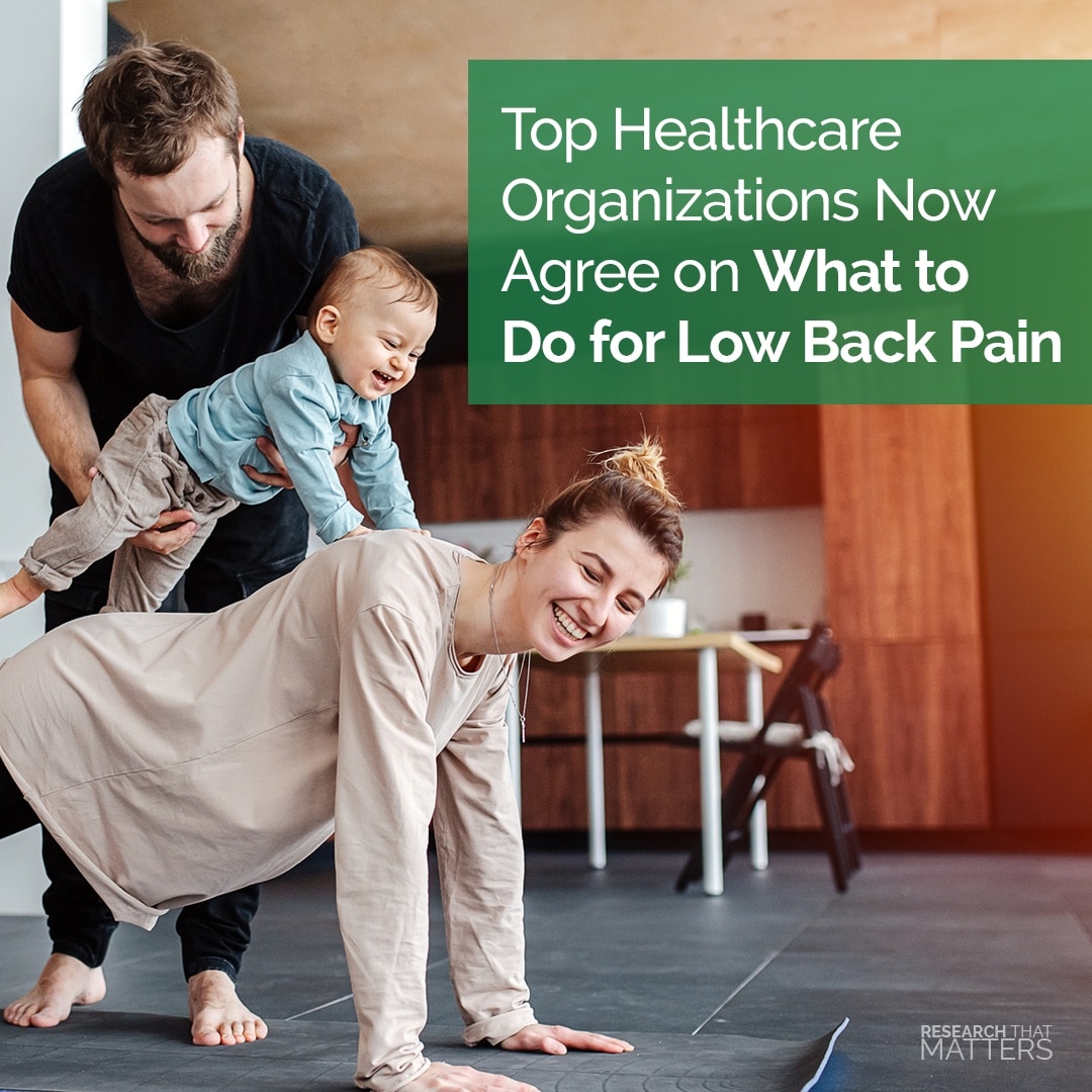 low back pain solution